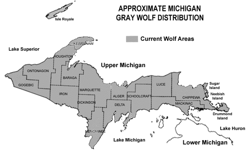 wolf_distribution.gif (43523 bytes)