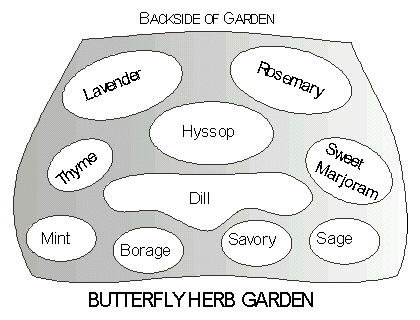 Herb Garden Design Plans on Pictures Of Butterfly Garden Designs  Plans  And Planting Ideas