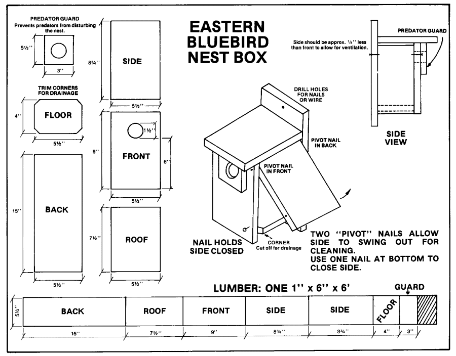 Building and Placing a Nest Box
