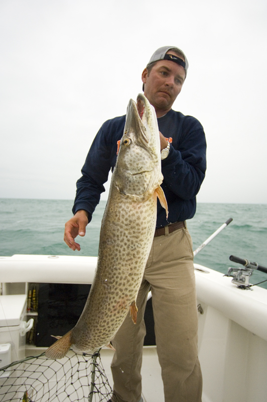 Muskellunge, a predator dependent on healthy Coldwater Inland Lakes