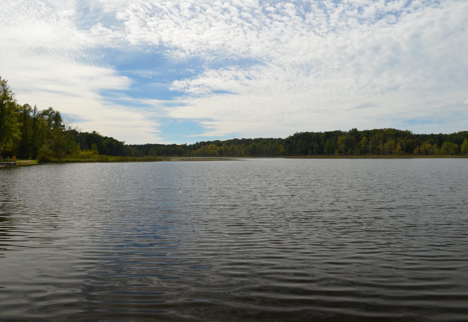 Cisco Lake