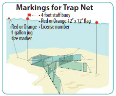Commercial Fishing Nets and Fish Disease