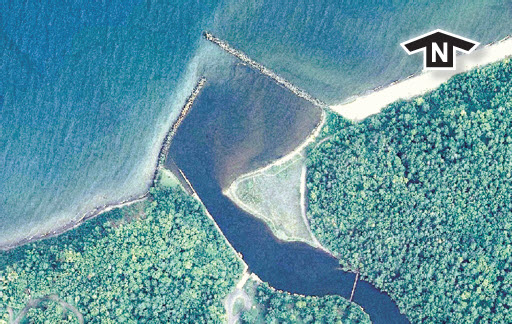 Black River - U.S. National Forest