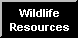 Provides wildlife resource information available from the Michigan Department of Natural Resources.