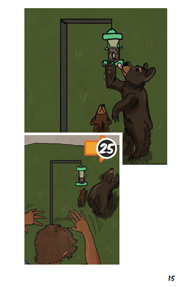 The bears start eating bird seed from a bird feeder, but a human comes and scares them away. 