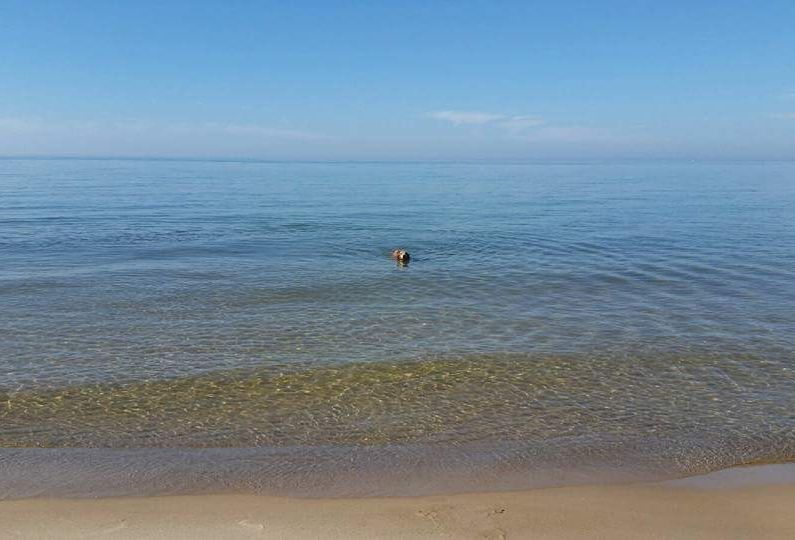 Lake Michigan shoreline